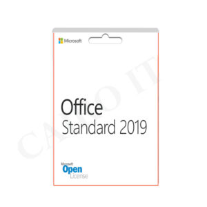 Office standard 2019 SNGL
